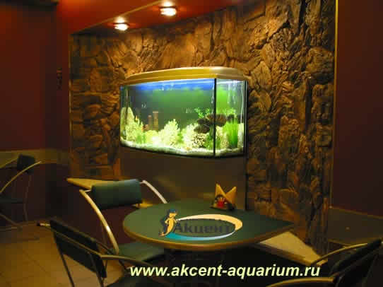 Акцент-аквариум,аквариум 240 литров с гнутым передним стеклом,кафе
